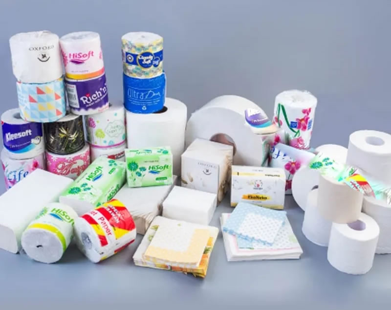 Giấy vệ sinh an toàn Vinh Nghệ An